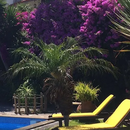 Do Sol * Caniço